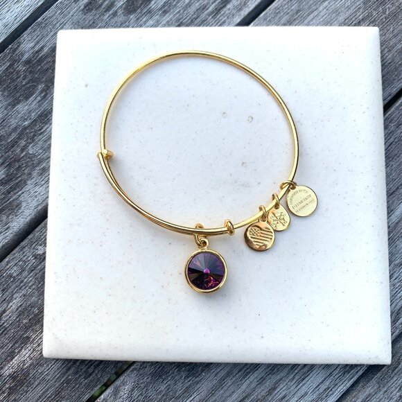 Alex and Ani – February Birthstone Bangle (Amethyst) – Shiny Gold Finish Expands - Picture 1 of 2